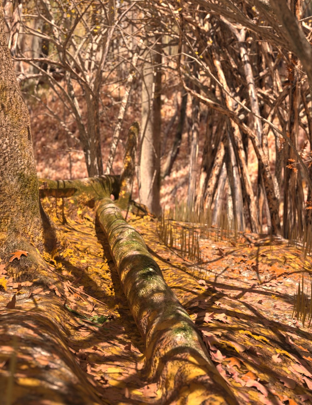 图片[1]-[daz场景] Fall Woods Vignette高清场景-DAZ爱好者