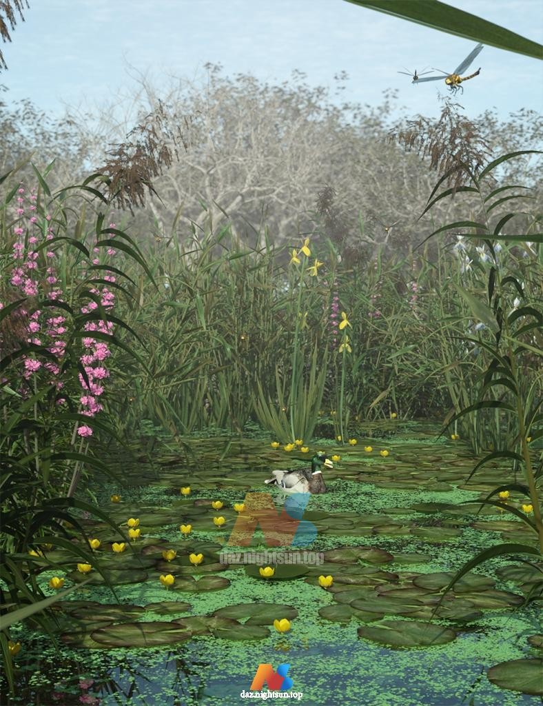 [daz环境] Wetlands Low Res Plants for Vol 2 - Flowering Plants
