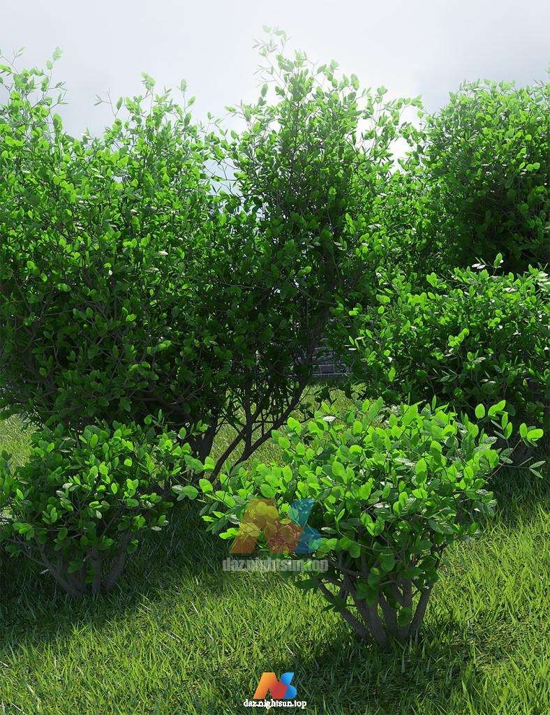 [daz环境] Into The Bushes