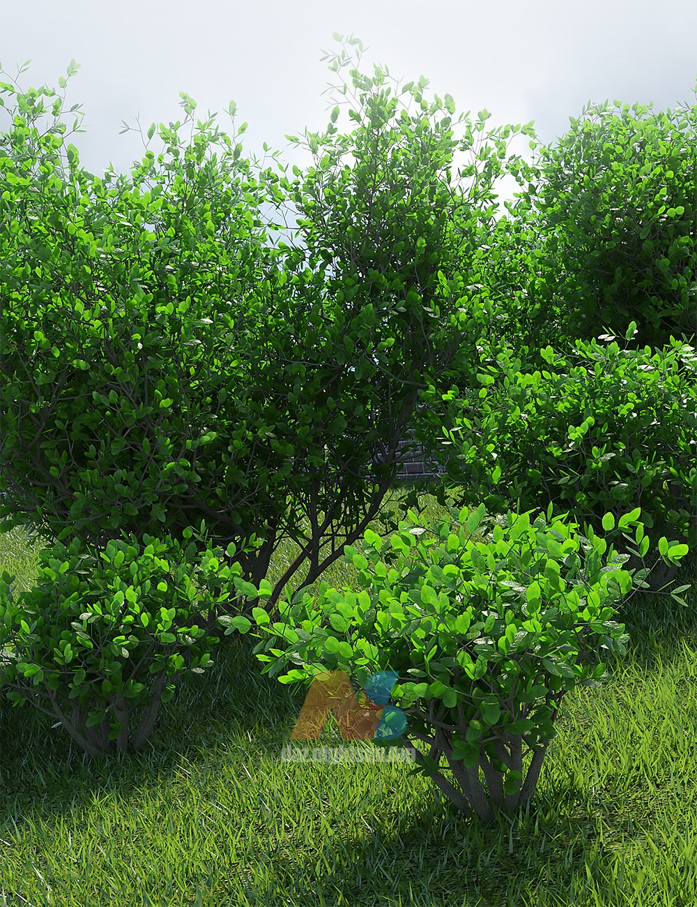 [daz环境] Into The Bushes-DAZ爱好者