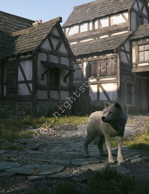 [daz场景] 中世纪的街道-The Streets of the Medieval-DAZ爱好者