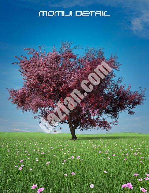 [daz场景] Momiji树的极致细节-DAZ爱好者