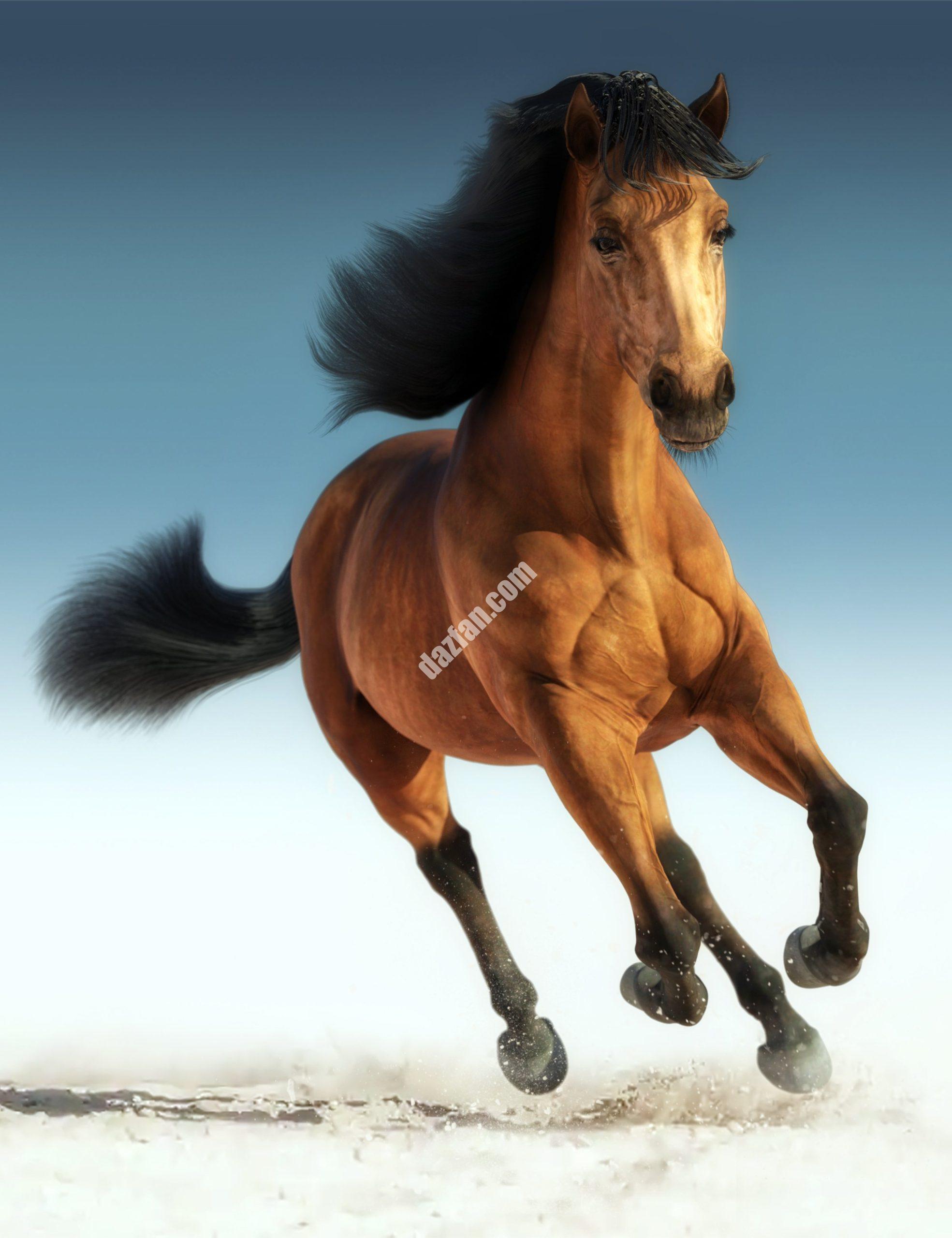 [daz生物] Daz Horse 3-DAZ爱好者