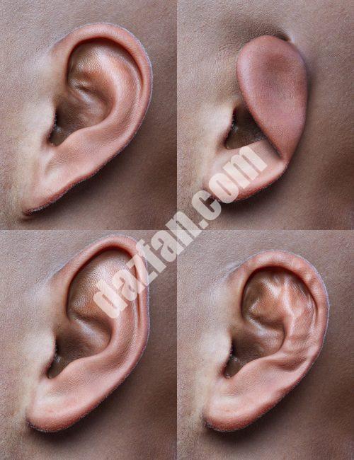[daz姿势] 创世纪9的基本耳朵形状-DAZ爱好者