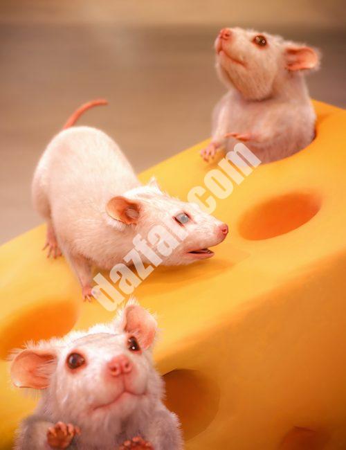 [daz角色] DaZ啮齿动物-DAZ爱好者