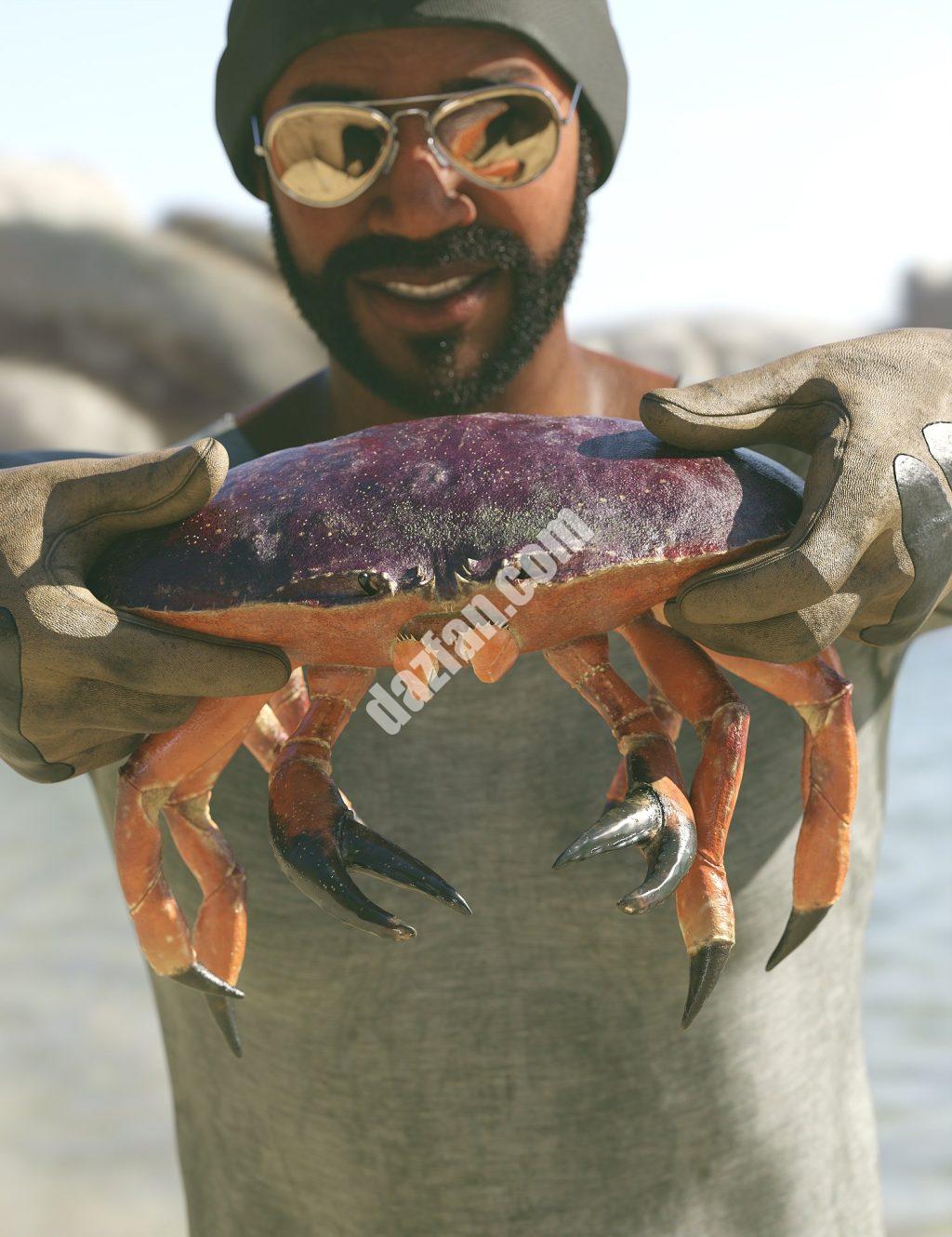 [daz角色] Dungeness Crab HD-DAZ爱好者