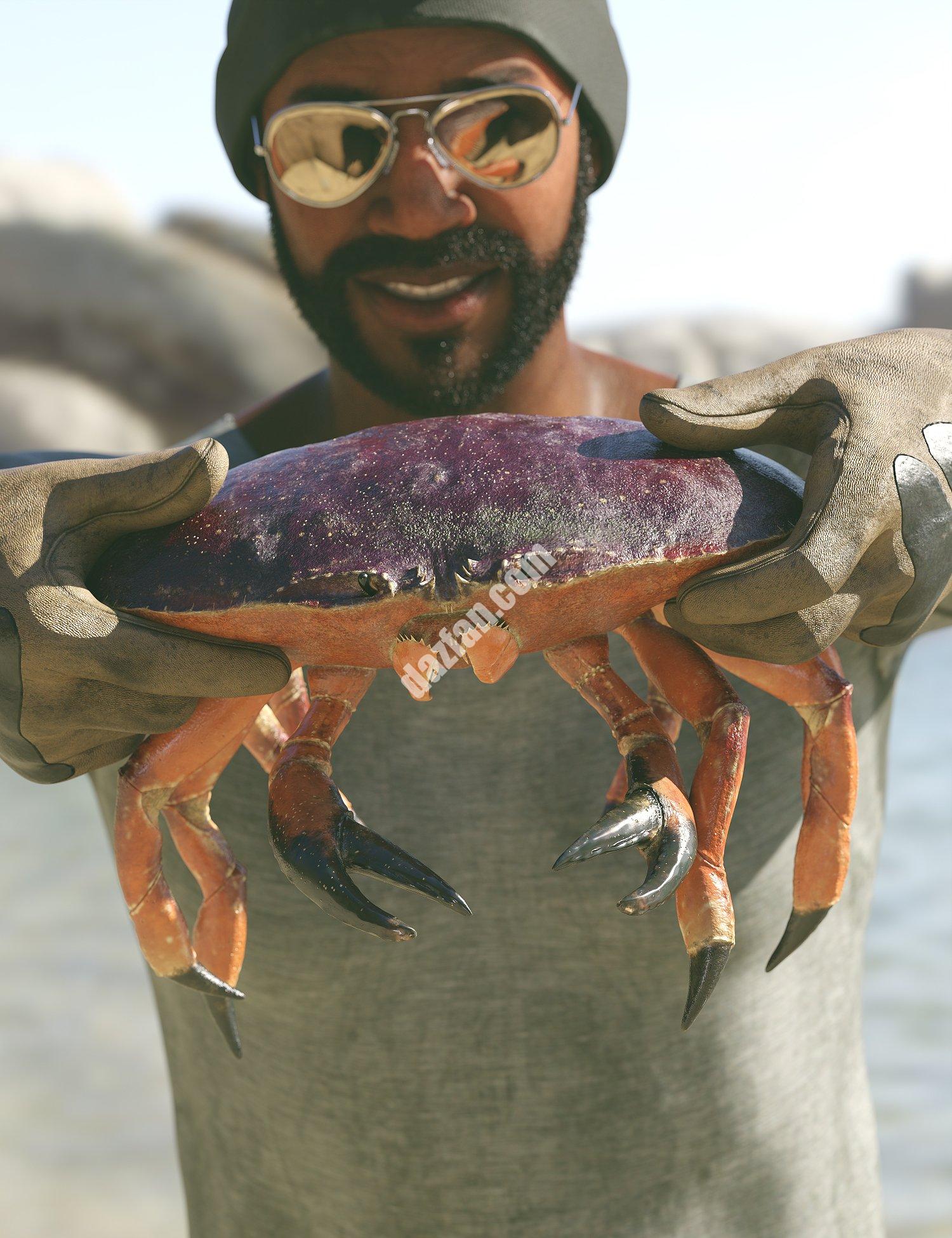 [daz角色] Dungeness Crab HD-DAZ爱好者