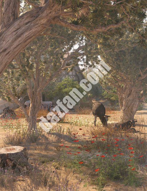 [daz场景] 橄榄林-古老的橄榄树-DAZ爱好者